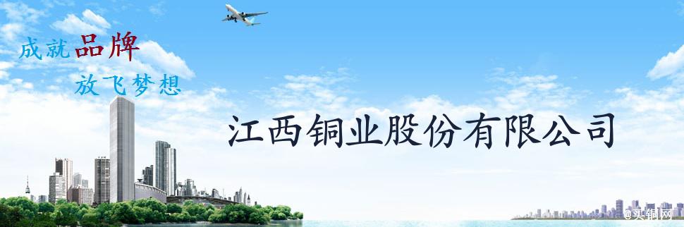 公司簡介
