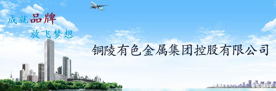 公司簡介