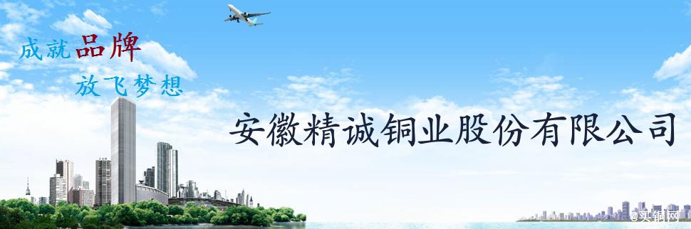 公司簡介