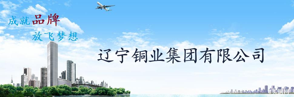 公司簡介